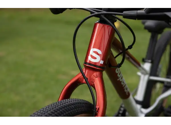 Superior TEAM 20 detský bicykel Gloss Brushed Alu / Red