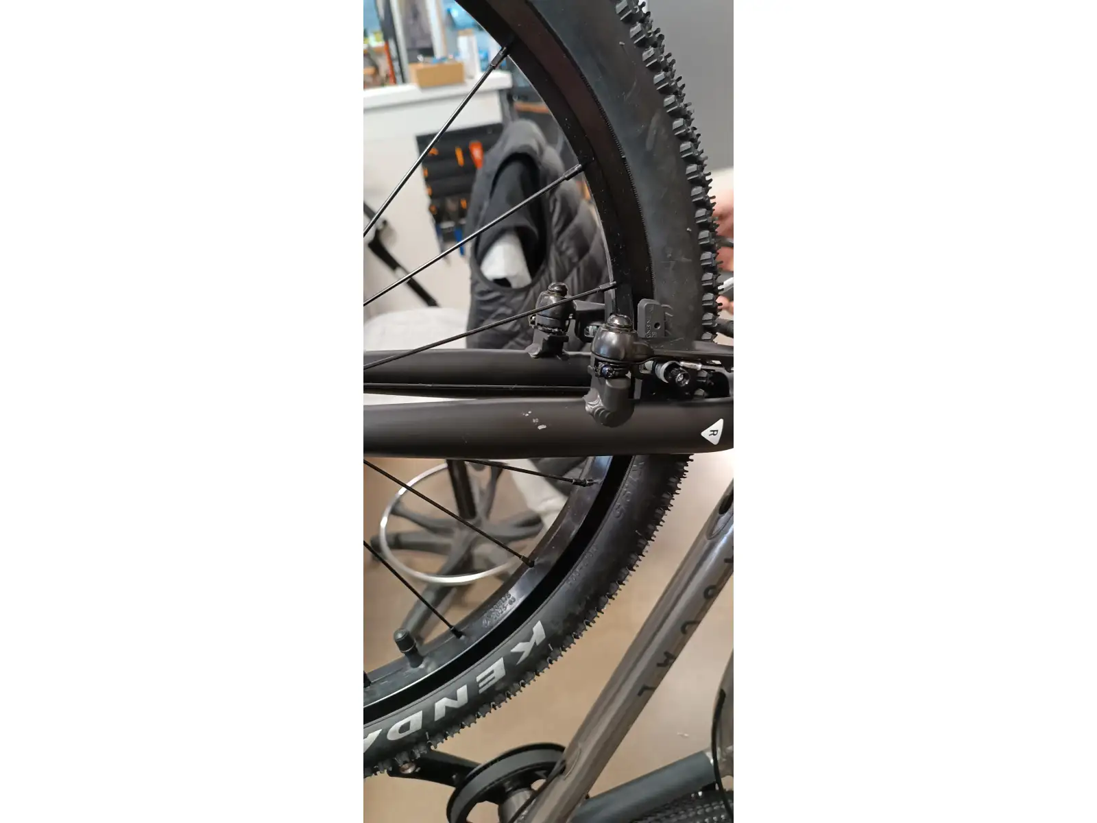 Rascal 20 detský bicykel Titanium