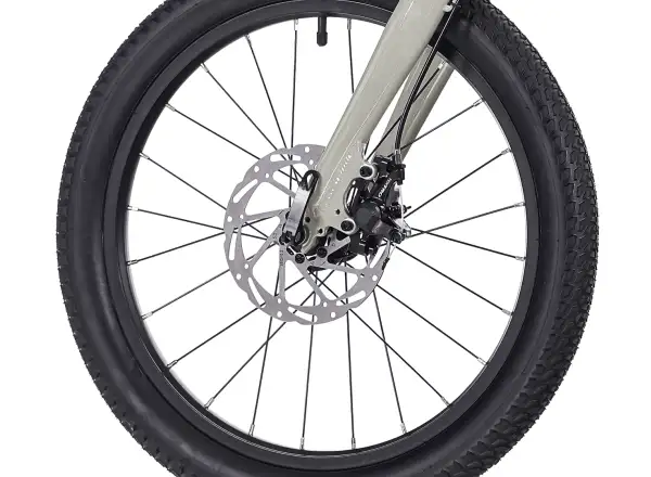 Rock Machine RIFF Tr 20 detský bicykel Gloss Limerock Grey