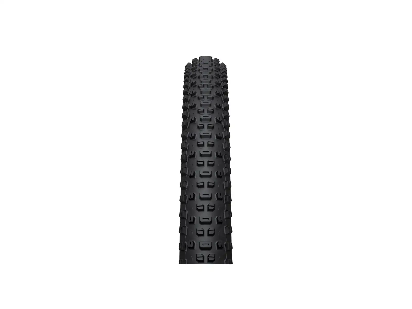 WTB Ranger 2.6 29'' TCS Light Fast Rolling plášť kevlar čierna/hnedá