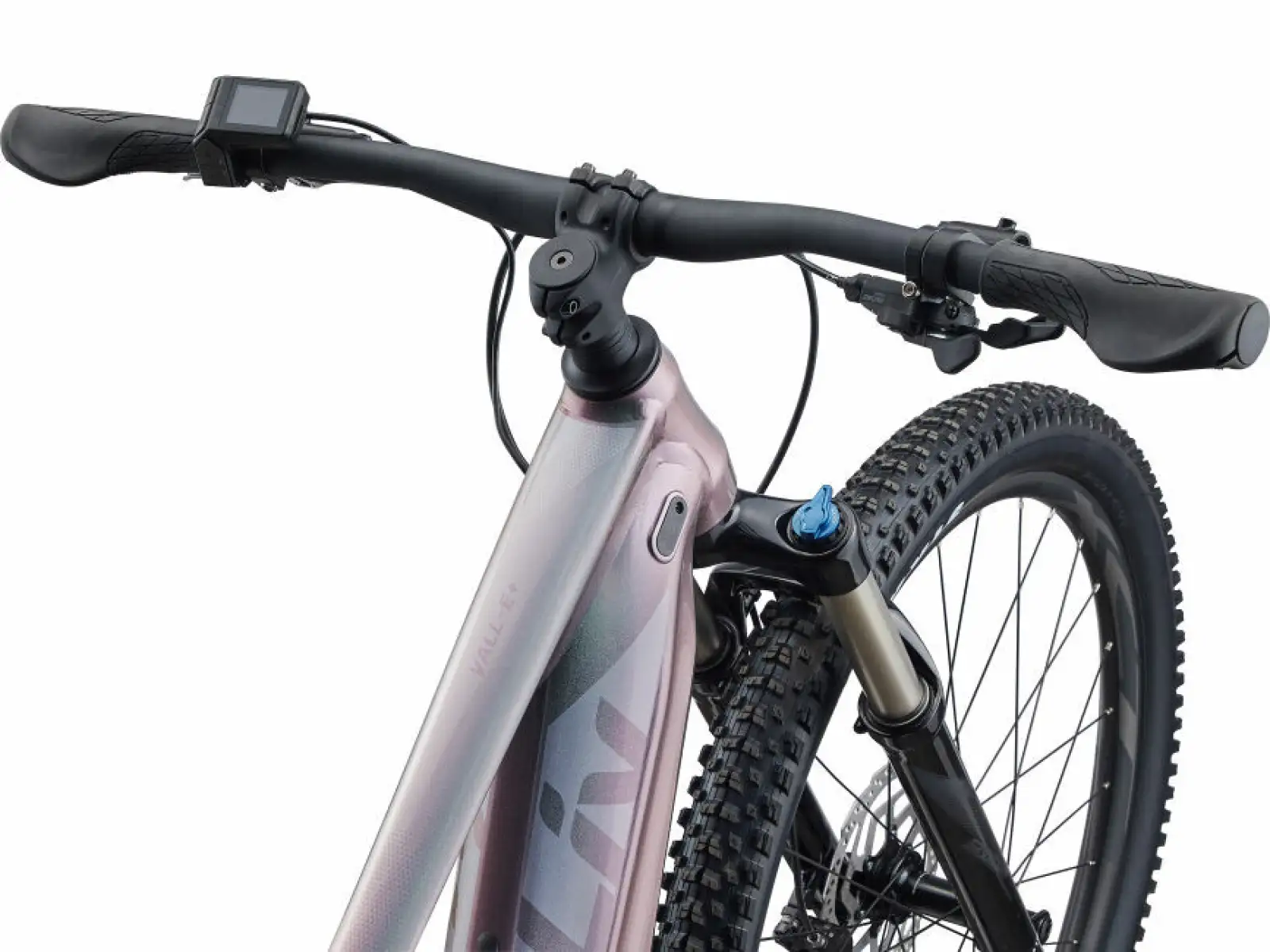 Liv Vall-E+ 2 29 Echeveria 2022 dámsky horský bicykel