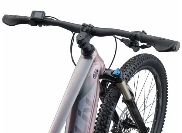 Liv Vall-E+ 2 29 Echeveria 2022 dámsky horský bicykel