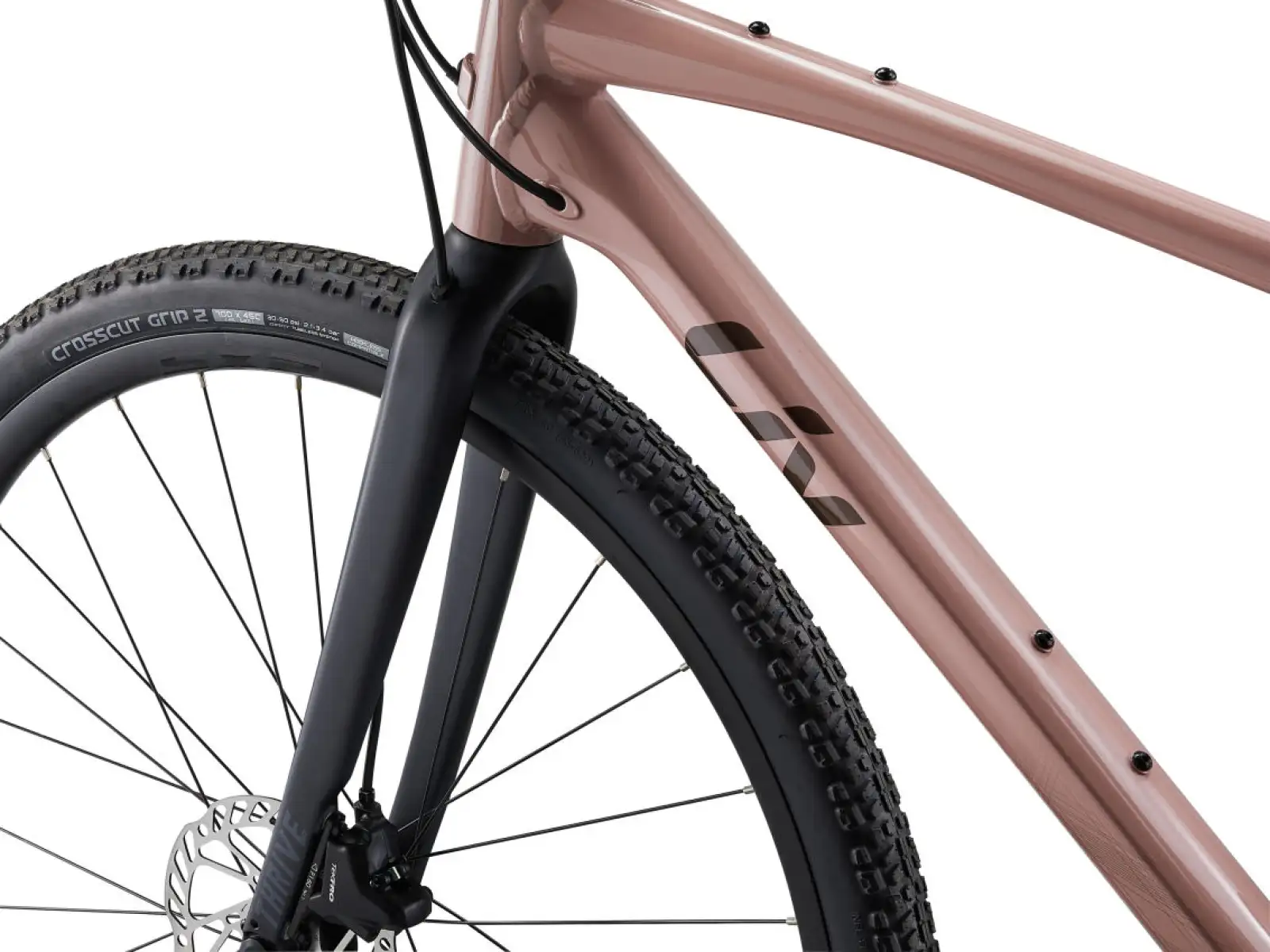 Liv Thrive GX fitness bicykel petra clay