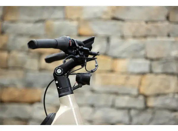 Superior eWAY 6.45 mestský elektrobicykel Gloss Dust