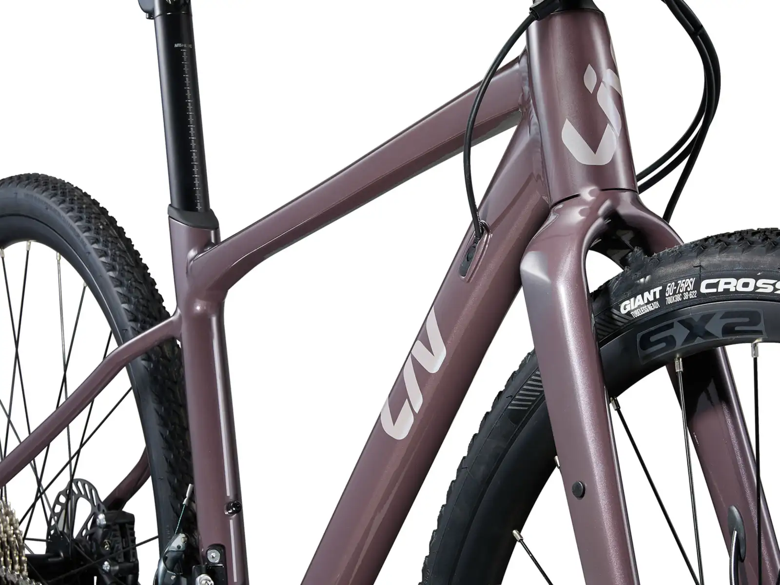 Liv Devote 1 dámsky gravel bicykel Charcoal Plum
