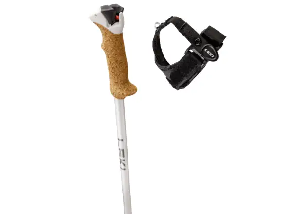 Leki Stella S zjazdové palice White/Silver/Whitegold