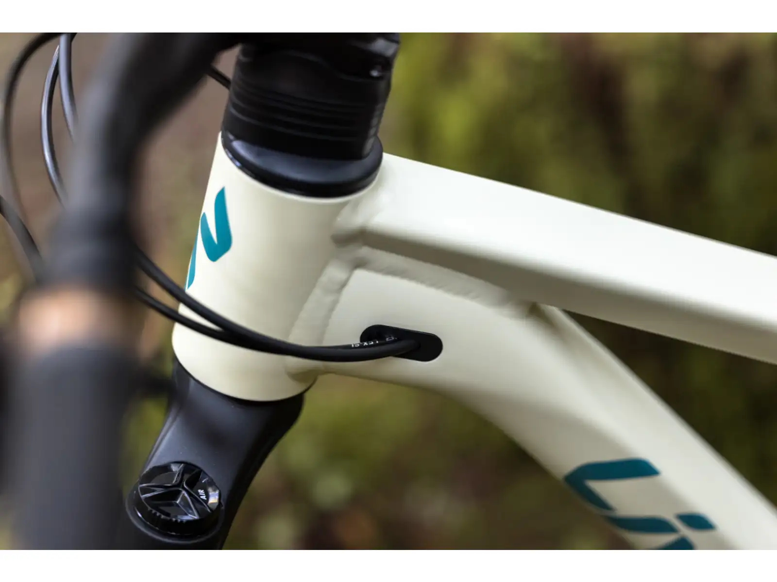 Liv Embolden 2026 horský bicykel Pale Moss