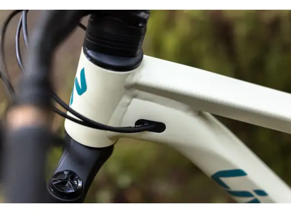 Liv Embolden 2026 horský bicykel Pale Moss