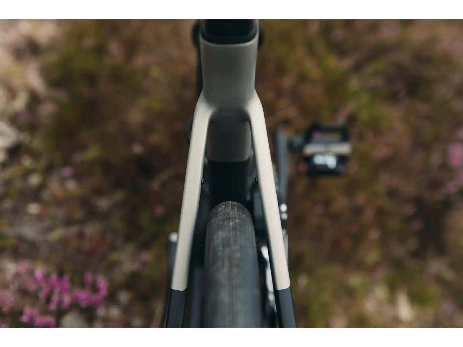 Liv Avail Advanced Pro 1 cestný bicykel Golden Haze
