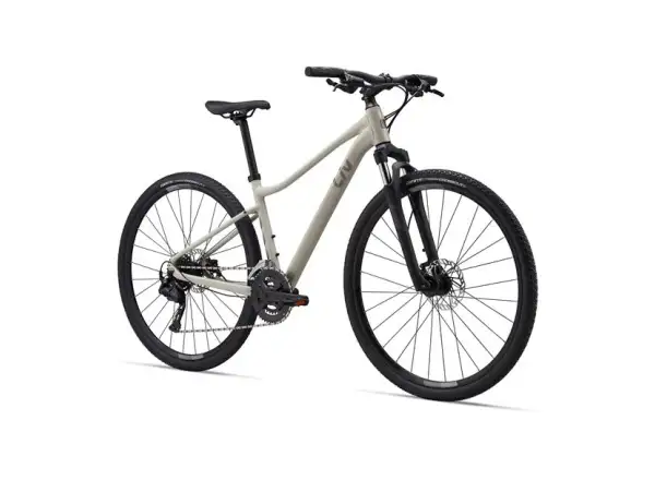 Giant Rove 3 trekingový bicykel Pulp Gray