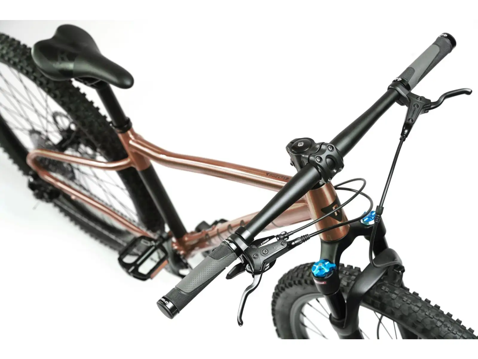 Rascal Wild 29 detský bicykel Bronze