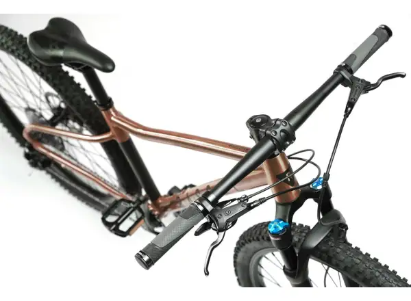 Rascal Wild 29 detský bicykel Bronze