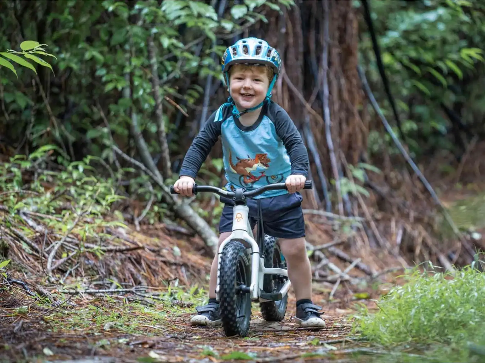 Kids Ride Shotgun Dirt Hero 14 odrážadlo