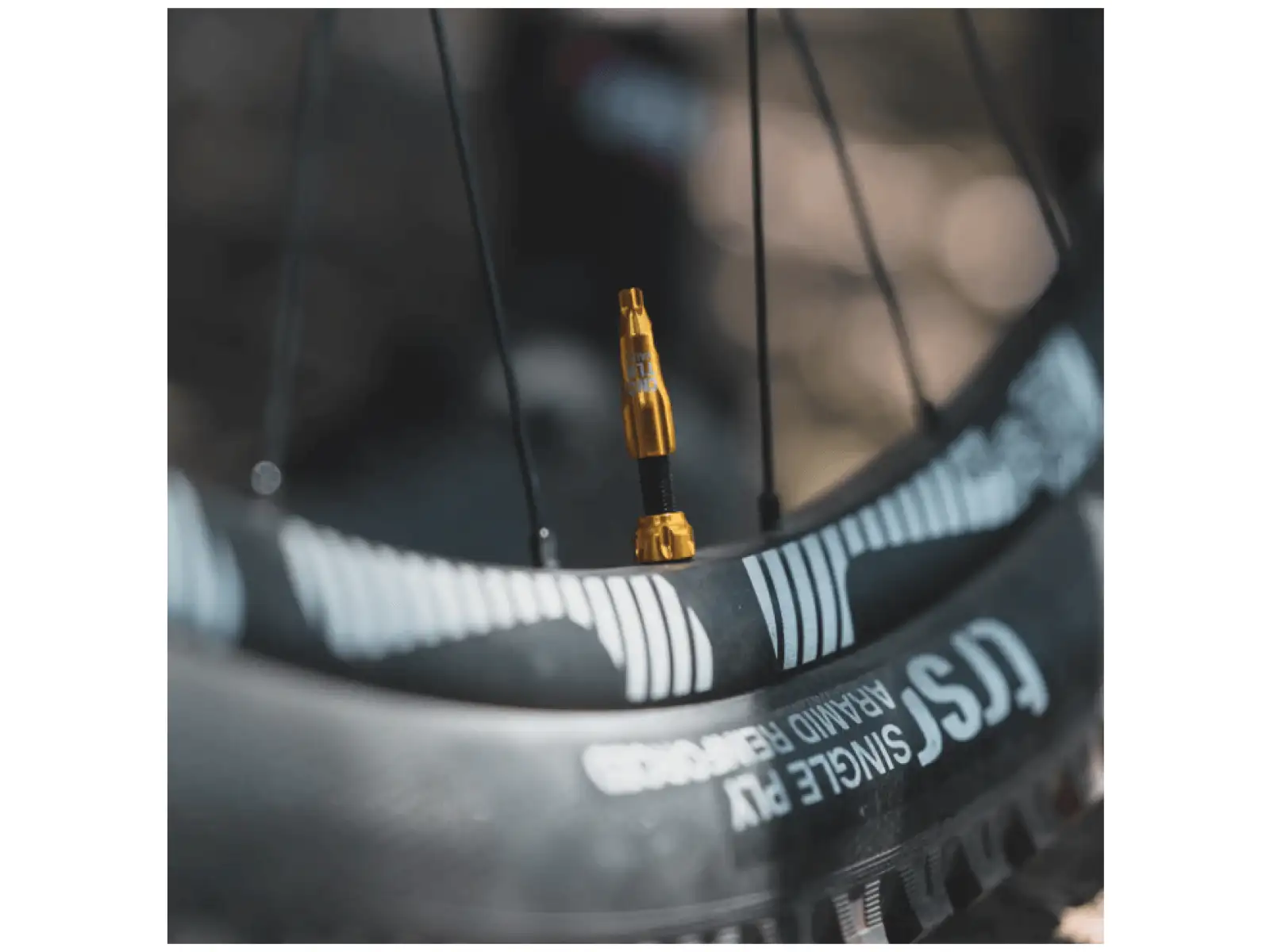 Lezyne CNC TLR Valve bezdušový ventil 60 mm zlatý