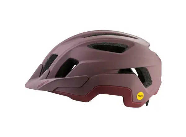Alpina Paranus Mips prilba Raisin Matt