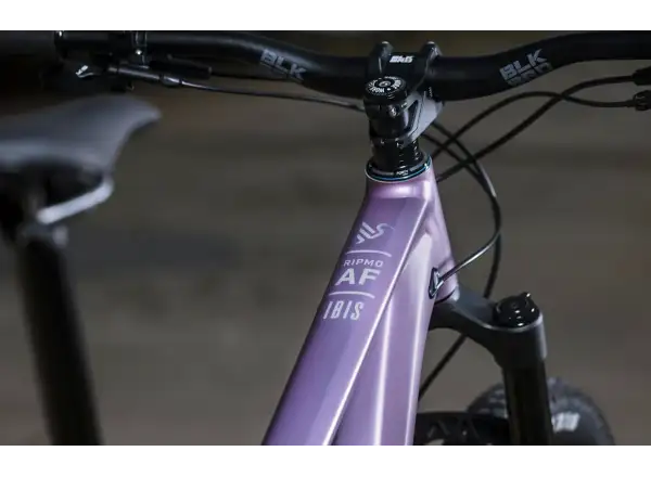 Ibis Ripmo AF Eagle 90 horský bicykel Rose