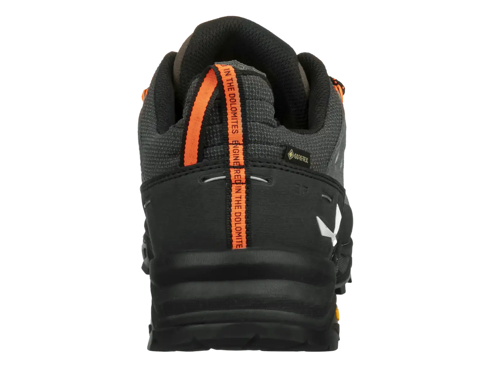 Salewa Alp Trainer 2 GTX pánske topánky Bungee Cord/Black