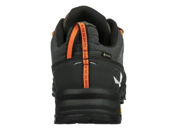 Salewa Alp Trainer 2 GTX pánske topánky Bungee Cord/Black
