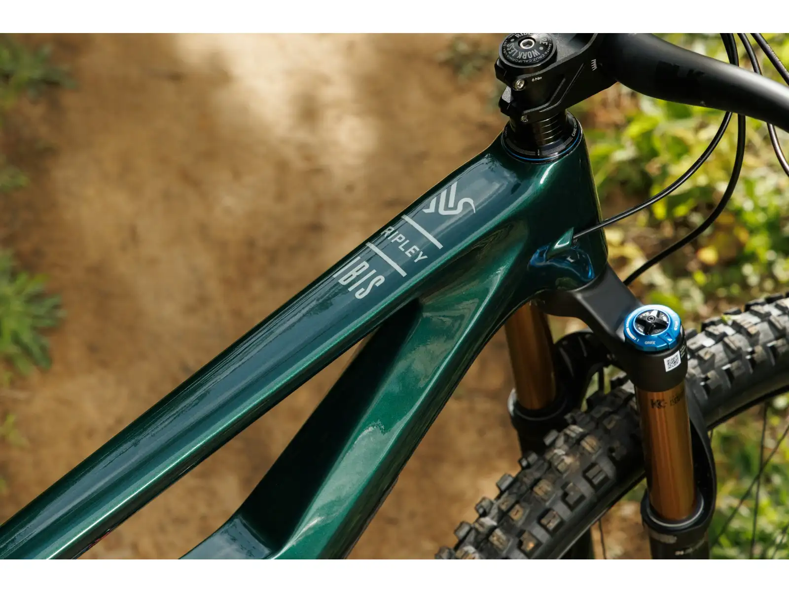 Ibis Ripley V5 XTR Di2 horský bicykel Green Flash
