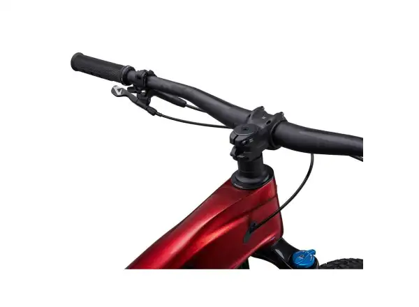 Giant Trance X Advanced 2 celoodpružený horský bicykel Sangria