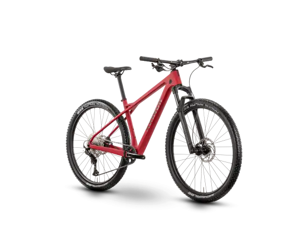 Raymon Arid Pro 29" horský bicykel Carmine Red Matt