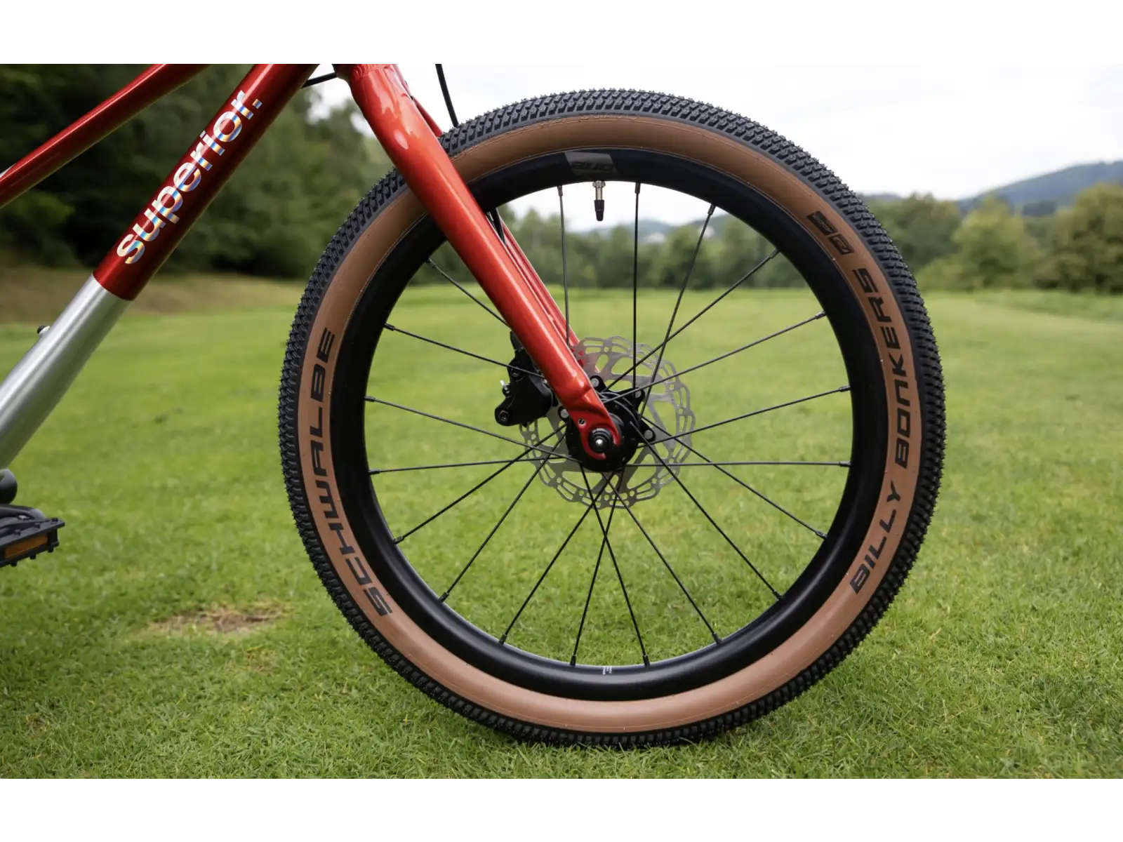 Superior TEAM 20 detský bicykel Gloss Brushed Alu / Red