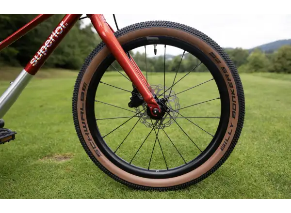 Superior TEAM 20 detský bicykel Gloss Brushed Alu / Red