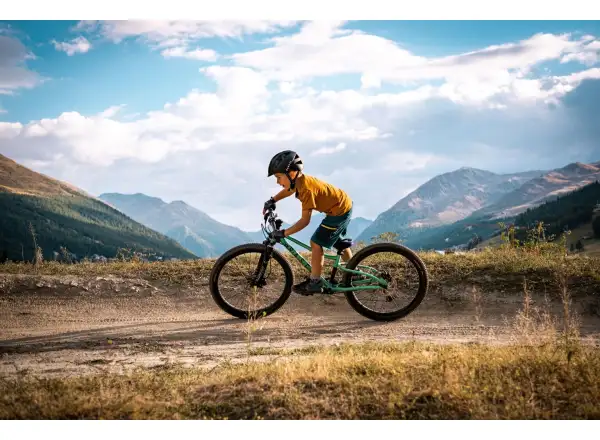 Rascal Wild 24 detský bicykel Emerald
