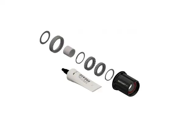 DT SWISS KIT Shimano HG oceľ - prest. kit nábojov 3pawls na Ratchet LN