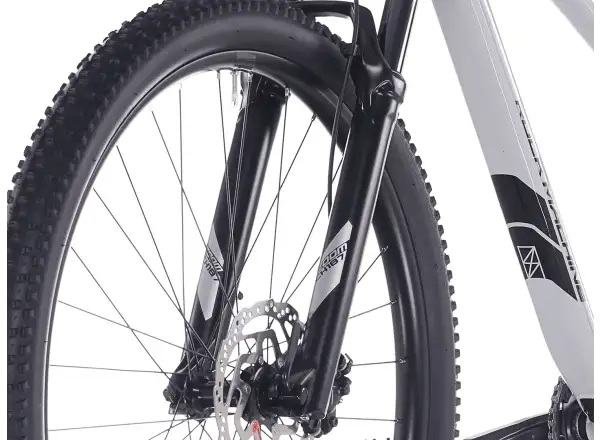 Rock Machine Blizz 30 horský bicykel 29" Gloss Limerock Grey