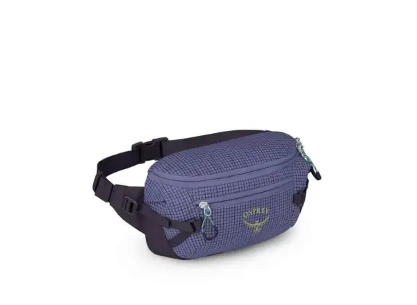 Osprey Transporter ľadvinka Euphoria Purple