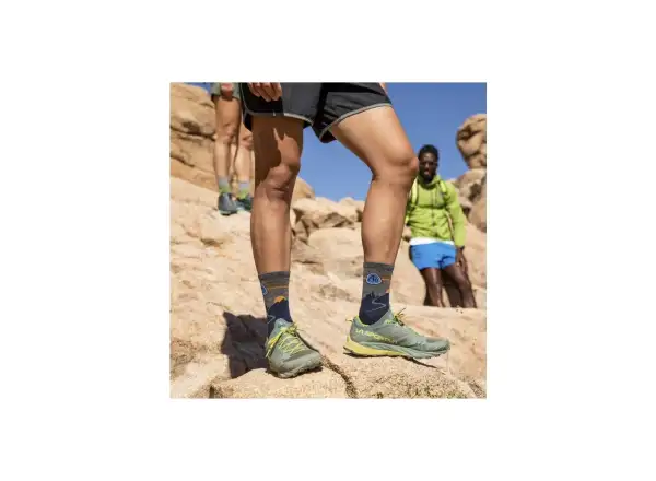 Pánske ponožky Darn Tough CDT Micro Crew Lightweight Cushion (Eclipse)