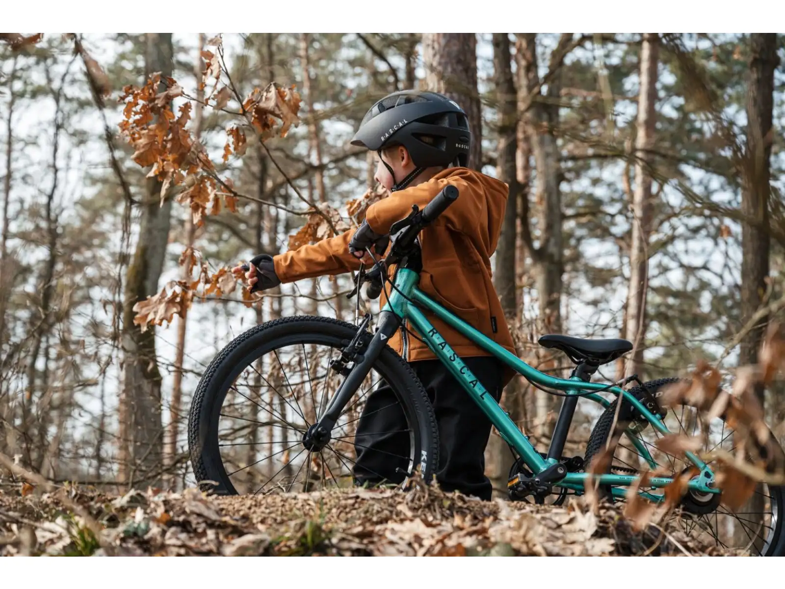 Rascal 20 Limited detský bicykel Emerald