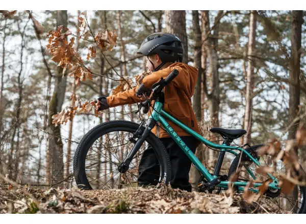 Rascal 20 Limited detský bicykel Emerald
