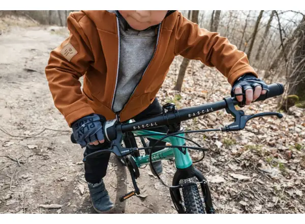 Rascal 20 Limited detský bicykel Emerald