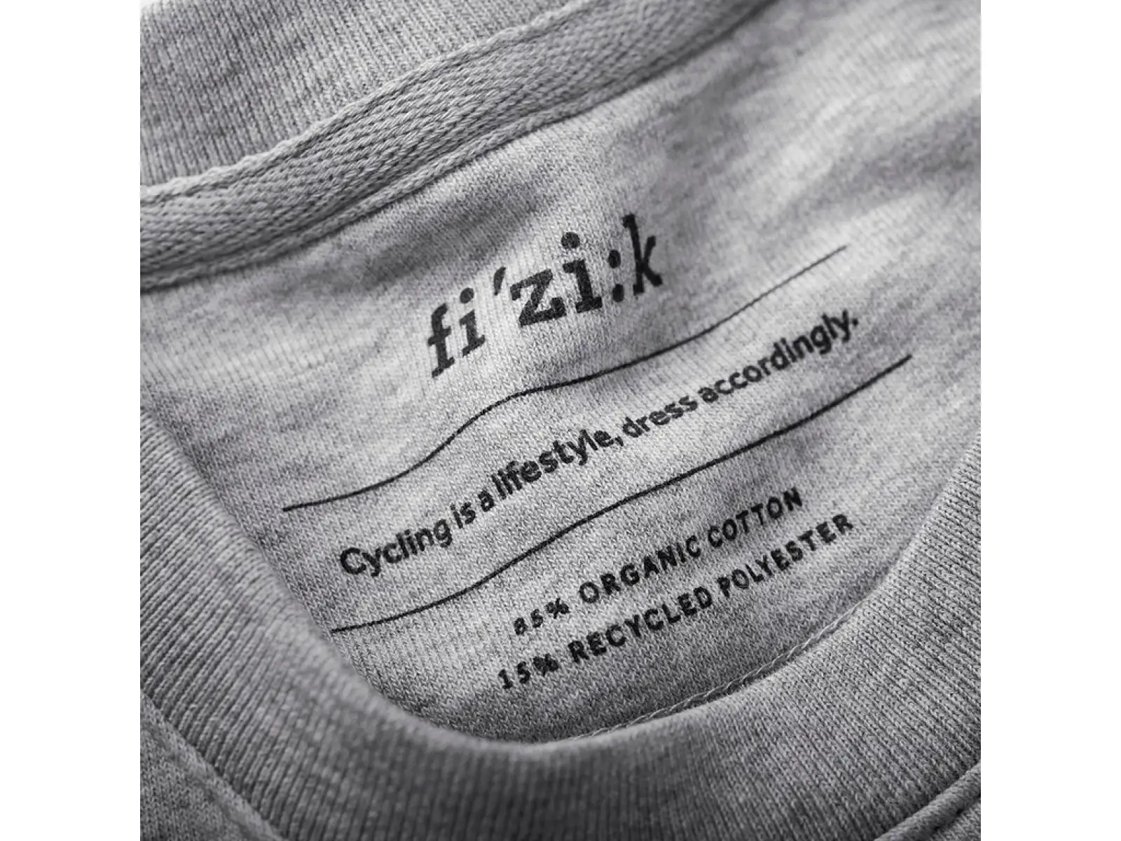 Fizik Logo mikina Gray