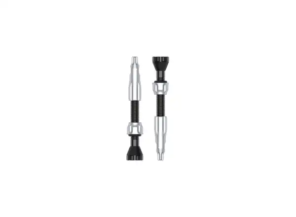 Lezyne CNC TLR Bezdušové ventily 44 mm silver