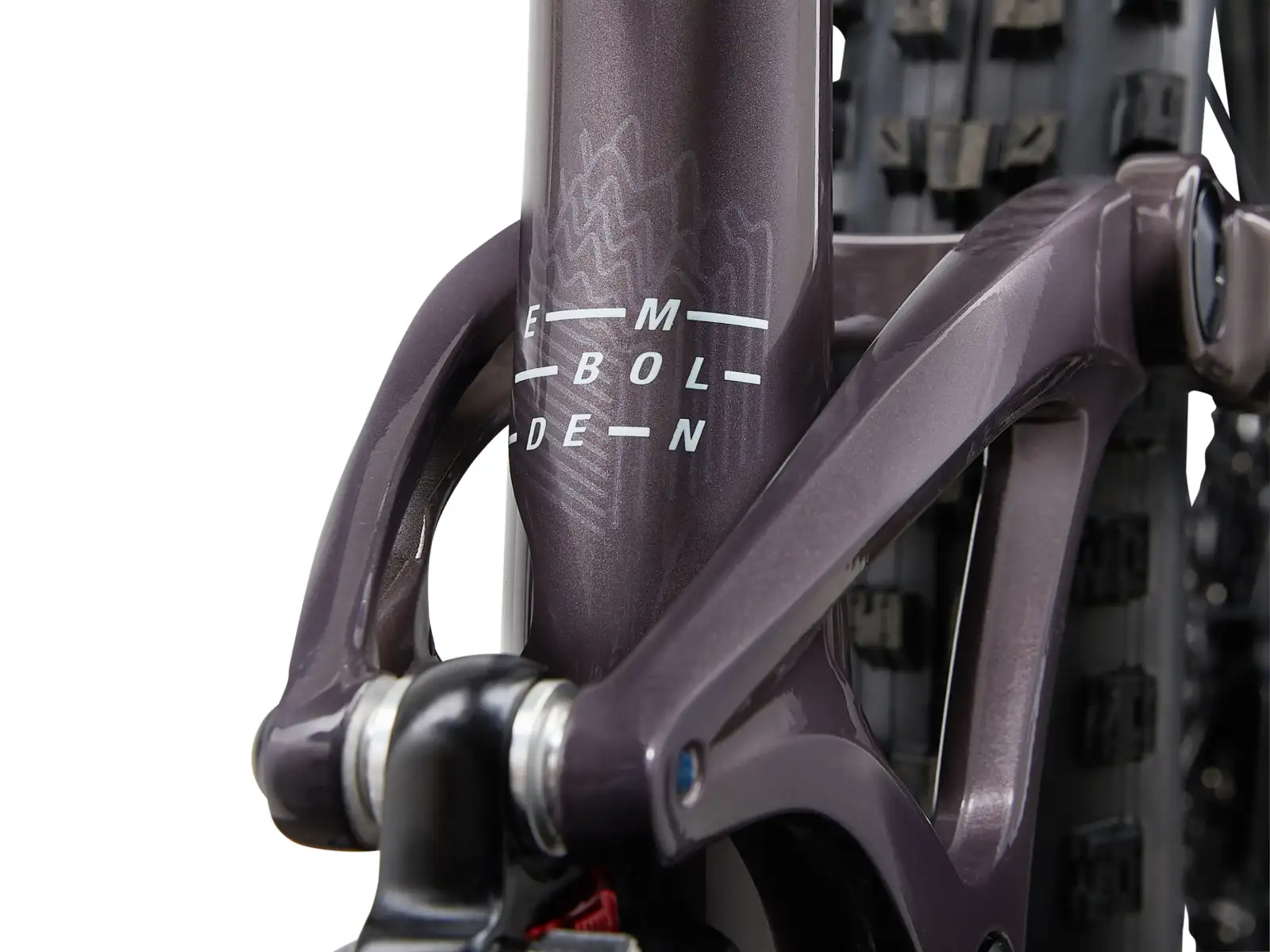 Liv Embolden 29 1 dámsky horský bicykel Charcoal Plum