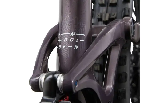 Liv Embolden 29 1 dámsky horský bicykel Charcoal Plum