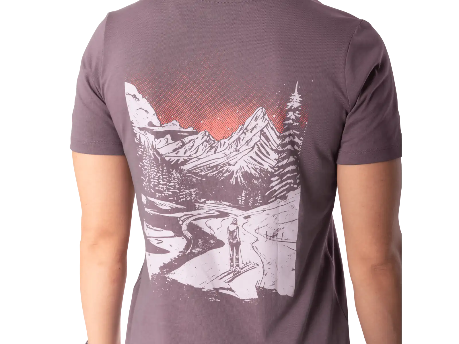 Dynafit Back Graphic Cotton dámske tričko krátky rukáv Ephemera/Valley