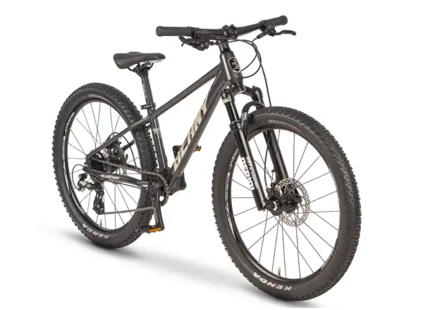 Beany Blaster 24 detský bicykel Black