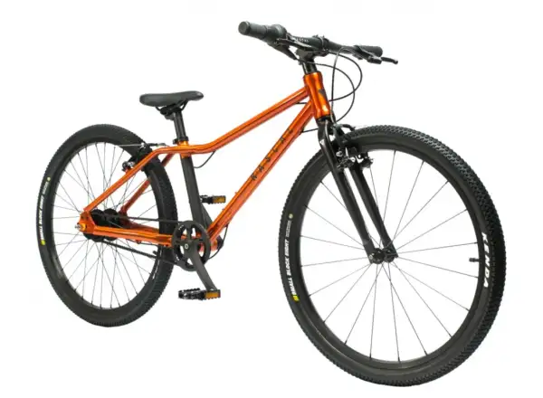 Rascal 26 Flame 7 sp. Shimano Nexus detský bicykel