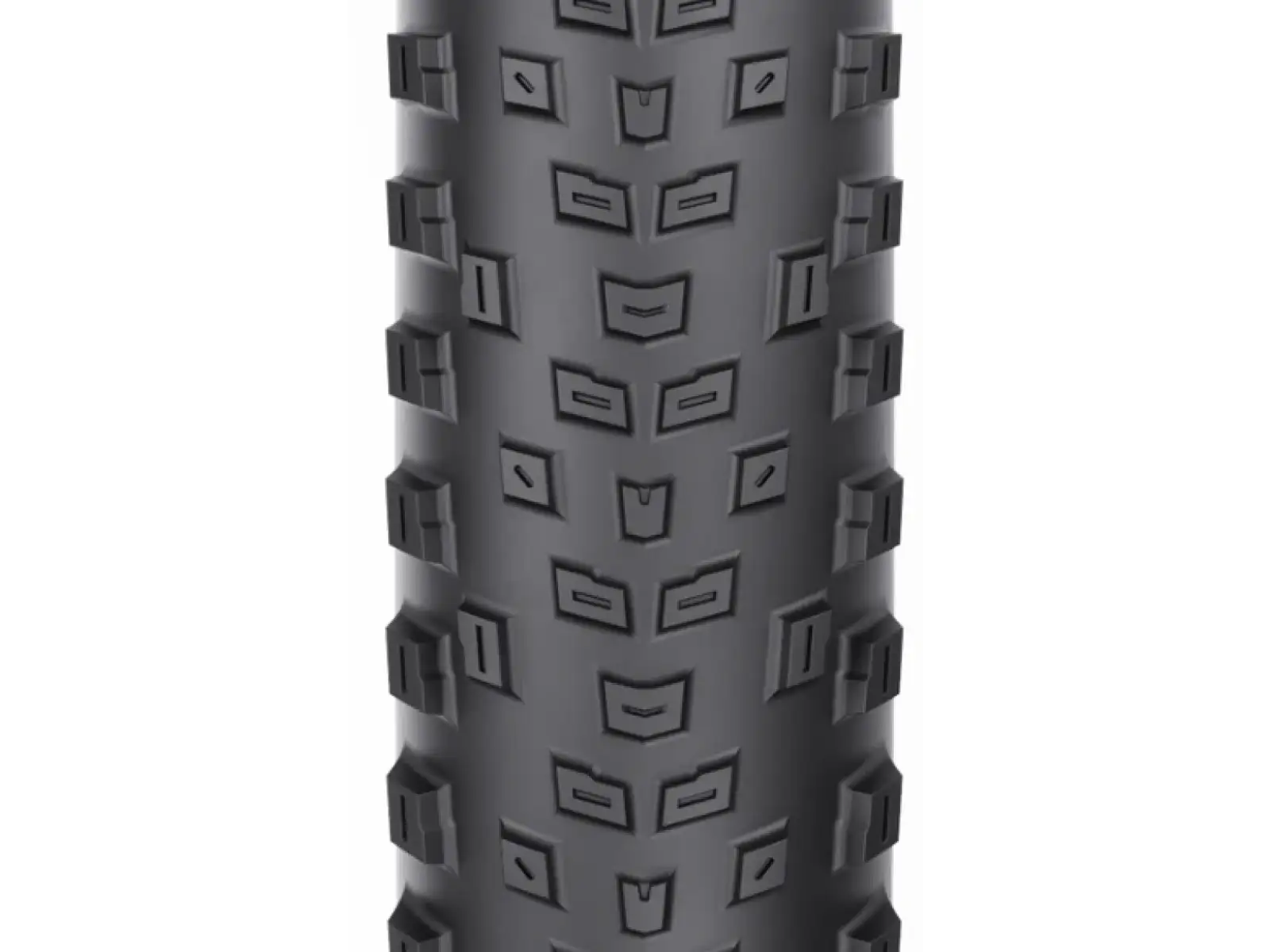 WTB Macro TCS Light Fast Rolling SG 29'' MTB plášť kevlar čierna