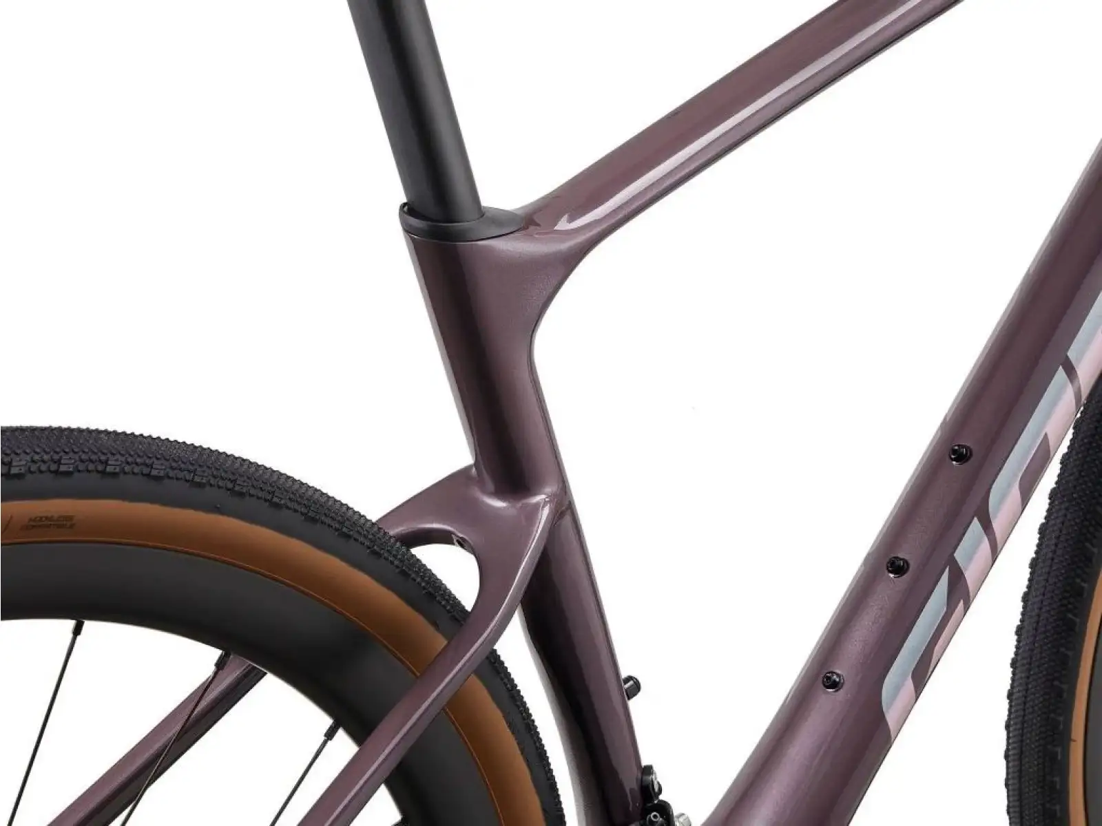 Giant Revolt Advanced 0 gravel bike charcoal plum