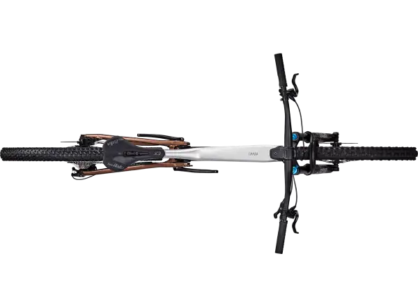 Focus Thron 6.9 horský bicykel (Nepalsilver/Platinumbronze)