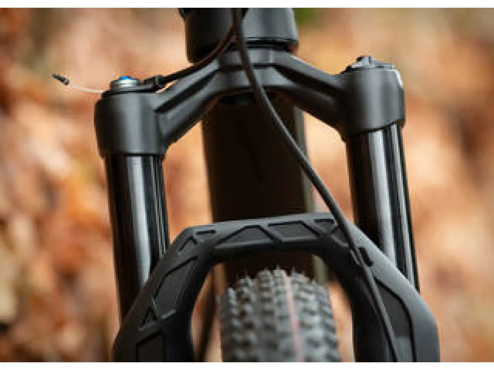 Superior Team XF 29 Issue R celoodpružený horský bicykel Matte Carbon/Chrome/Team Red