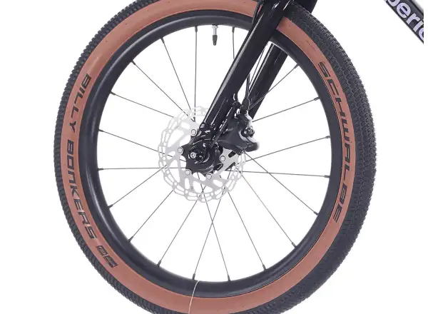 Superior TEAM 20 bicykel Gloss Brushed Alu / Rainbow Black 9.0"