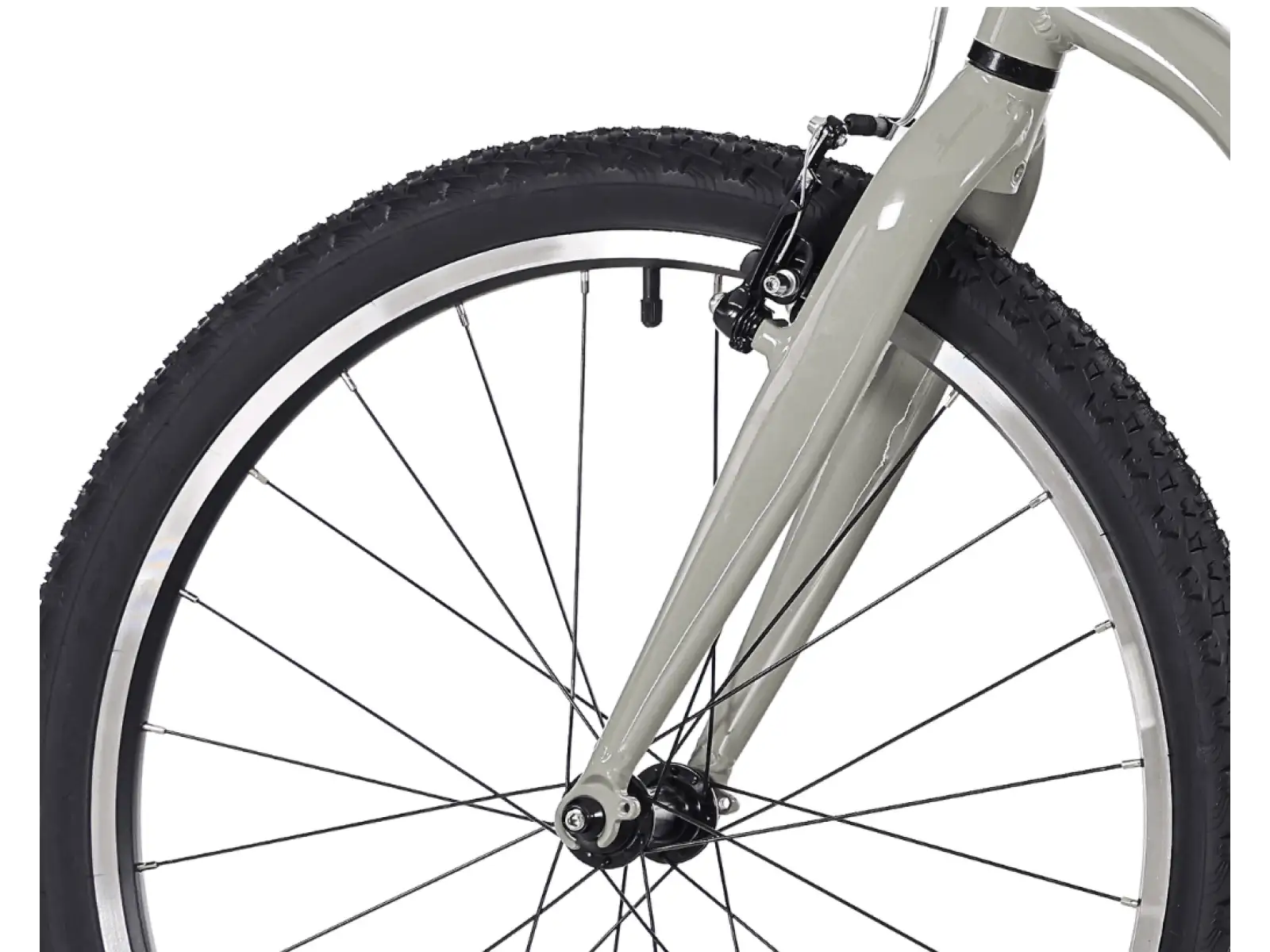 Rock Machine RIFF Jr 24 detský bicykel Gloss Limerock Grey