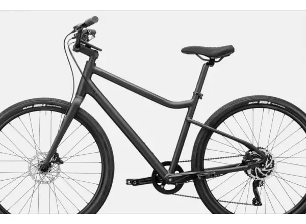Cannondale Treadwell 2 Ltd RAW fitness bicykel