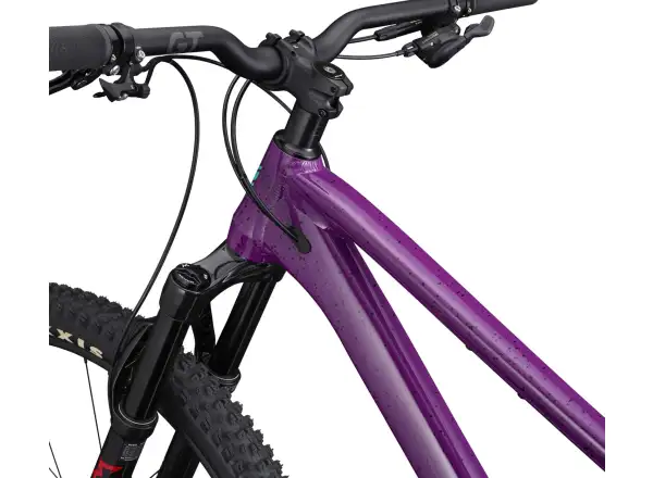 Horský bicykel GT Zaskar LT 29 Pro RAS